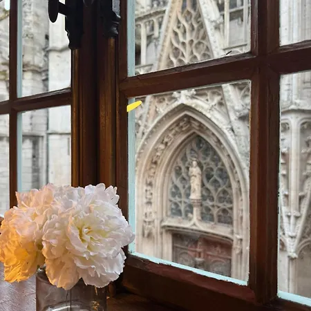 Appartement A Fleur De Saint Maclou *